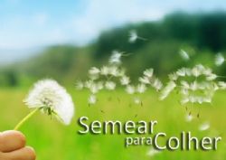 SEMEAR PARA COLHER
